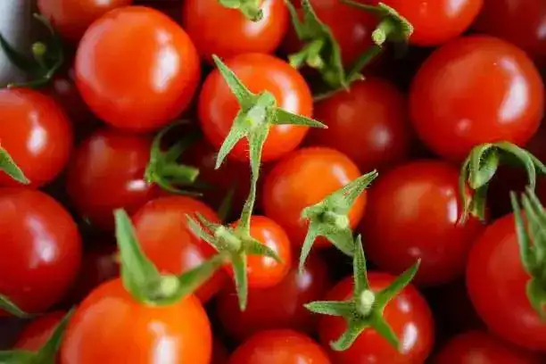 Томаты из Индии: вирус в аэропорту Астаны! Павлодаре