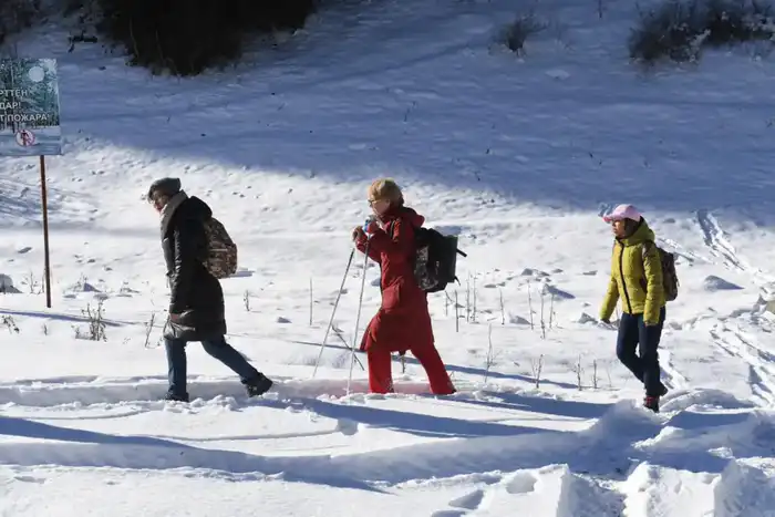 До 30 тыс. туристов в день: Алматинский горный кластер усилит турпоток (3)