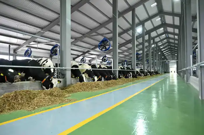 СОЦИАЛЬНЫЕ УЧРЕЖДЕНИЯ ТУРКЕСТАНСКОЙ ОБЛАСТИ ПЕРЕХОДЯТ НА МЕСТНУЮ ПРОДУКЦИЮ (9)