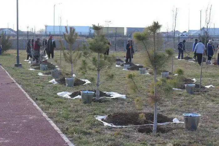 В Туркестанской области усиливают работу по программе «Таза Қазақстан»: новые пункты обогрева и борьба со свалками Павлодаре