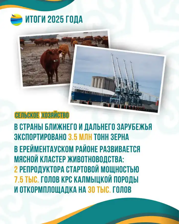 Акмолинская область достигла рекордного урожая зерна в 2025 году Павлодаре