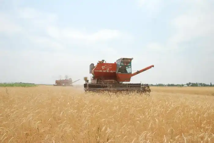 76 оросительных каналов отремонтируют в Жамбылской области (4)