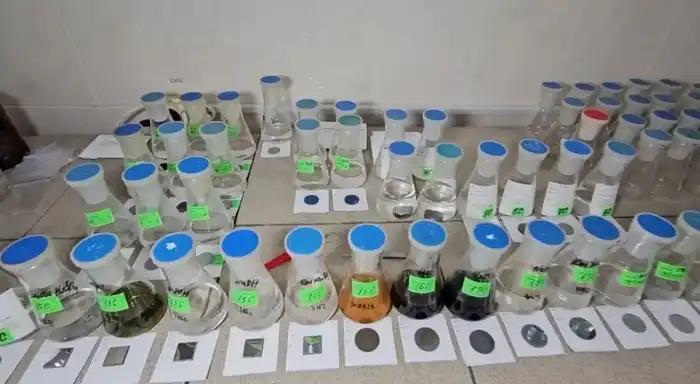 Впервые вуз ВКО принимает участие в программе Horizon Europe (7)