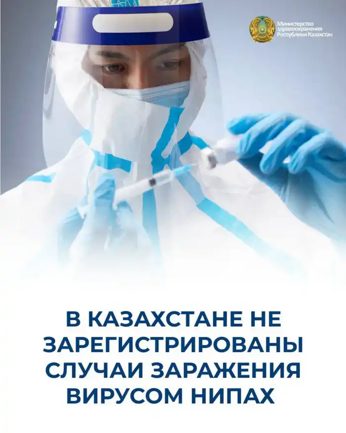 Ситуация с вирусом Нипах в Казахстане: случаев заражения не зафиксировано Павлодаре