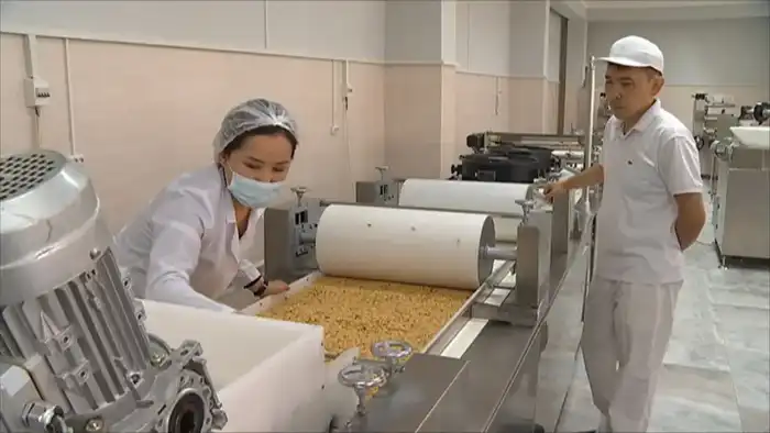 Запуск нового производства сэндвич-панелей в Алматы: влияние на рынок труда и бюджет региона Павлодаре