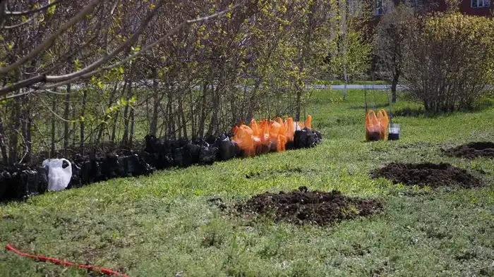 «Таза Қазақстан»: что сделано в Карагандинской области (3)