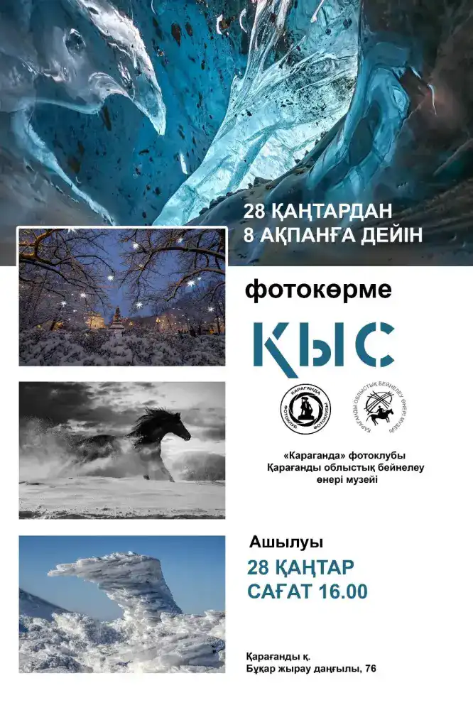 Карагандинская зима глазами фотохудожников (2)