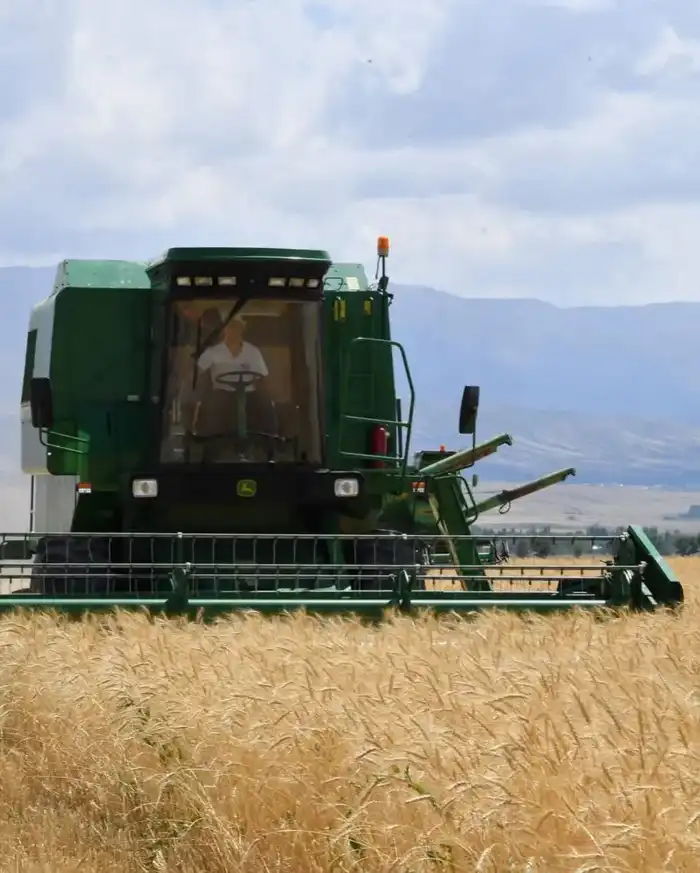 ИТОГИ ГОДА: ТУРКЕСТАНСКАЯ ОБЛАСТЬ СТАЛА ЛИДЕРОМ В РЕСПУБЛИКЕ ПО ОБЪЁМУ СЕЛЬСКОХОЗЯЙСТВЕННОЙ ПРОДУКЦИИ (3)