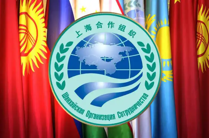 Видеоконференция стран – членов ШОС: новые горизонты для фитосанитарного сотрудничества Павлодаре