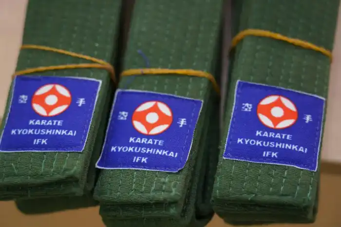 Юные каратисты: пояса и поддержка в столичной школе! Павлодаре