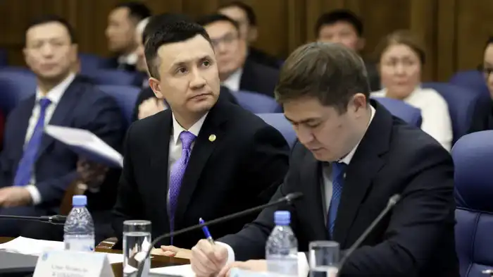 Подведены итоги аудита ВАП в городе Алматы (5)