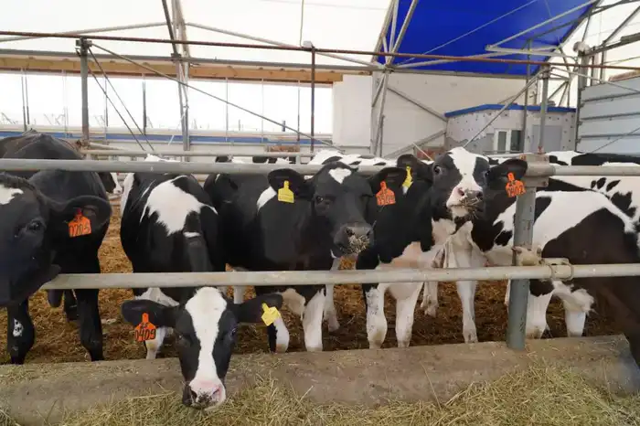 Акмолинская область демонстрирует рекордный рост инвестиций в 2025 году Павлодаре