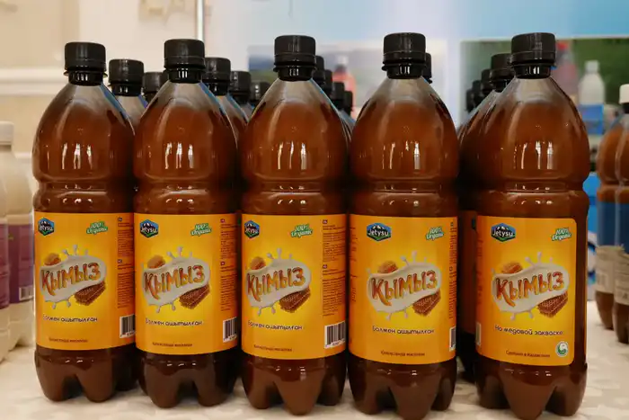 Итоги года в области Жетісу: доля Талдыкоргана в сфере МСБ региона достигла порядка 33% (10)