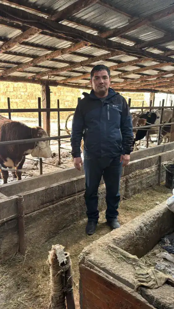 Отырар: развитие скотоводства Мухамеддауита Косаева Павлодаре