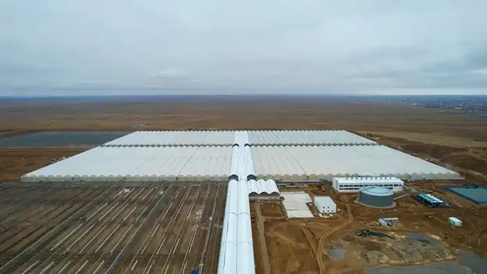 В ТУРКЕСТАНСКОЙ ОБЛАСТИ ЗАПУСТЯТ КРУПНЕЙШИЙ В СТРАНЕ ПРОМЫШЛЕННЫЙ ТЕПЛИЧНЫЙ КОМПЛЕКС (5)
