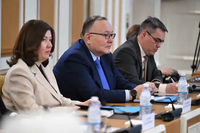 Заседание Комиссии по Конституционной реформе обсуждение изменений в Конституцию однопалатный Парламент Вице-президент Павлодаре