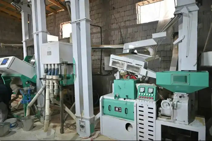 Новый рисоперерабатывающий цех в Туркестанской области: инвестиции и возможности для местного рынка Павлодаре