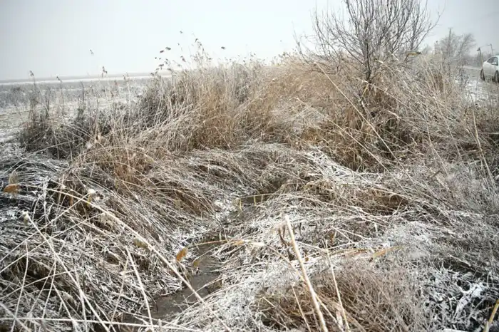 ТУРКЕСТАН: В ЖЕТЫСАЙСКОМ РАЙОНЕ СТРОЯТ ВЕРТИКАЛЬНЫЕ ДРЕНАЖНЫЕ СКВАЖИНЫ (2)