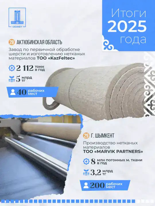 В Казахстане в 2025 году запущено 33 новых промышленных предприятия (2)