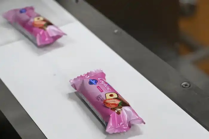 Итоги года в области Жетісу: доля Талдыкоргана в сфере МСБ региона достигла порядка 33% (8)