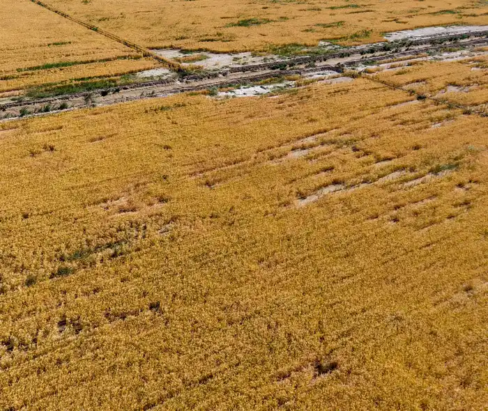 Успешная реализация водосберегающих технологий в Туркестанской области позволяет сэкономить 195 млн кубометров воды Павлодаре