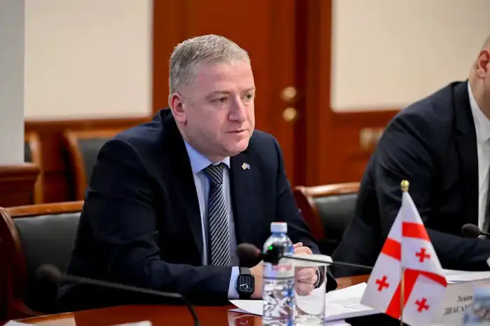 Казахстан и Грузия намерены укреплять сотрудничество в сферах туризма и спорта (2)