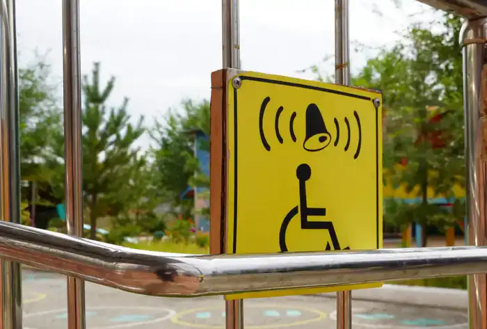 Итоги года в области Жетісу: службой инватакси оказано порядка 110 тысяч услуг (4)