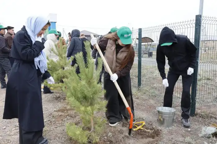 Увеличение числа экологических инициатив в Акмолинской области: последствия для местного населения и окружающей среды в 2026 году Павлодаре