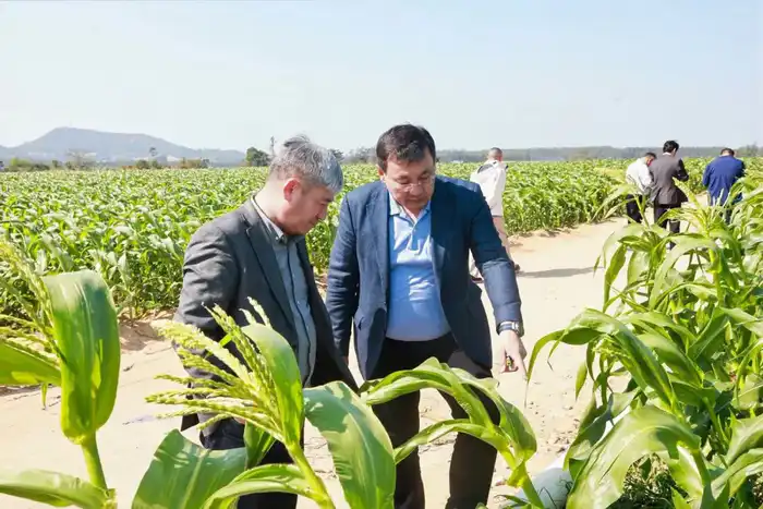 Кызылординская область расширяет сотрудничество с Китаем в агропромышленной сфере (4)
