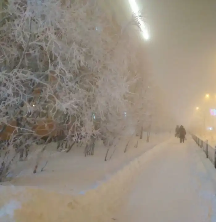 Восточно-Казахстанская область: меры по обеспечению тепла в условиях зимних морозов Павлодаре