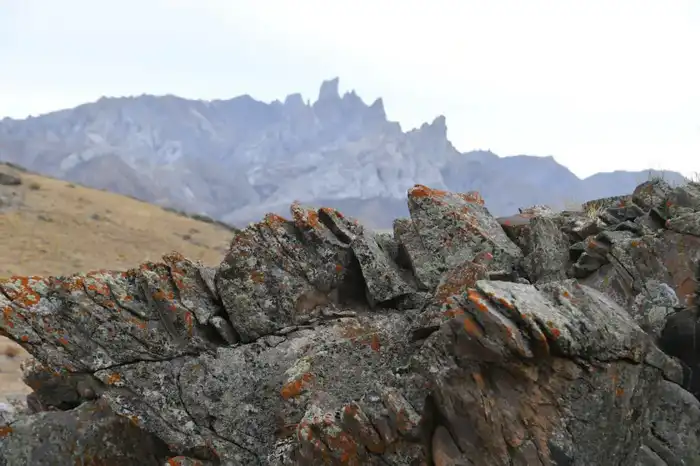 Президент Казахстана акцентирует внимание на сохранении культурного наследия и его включении в список ЮНЕСКО Павлодаре