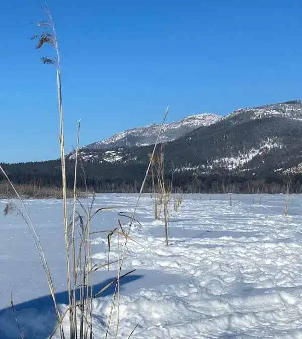 На водоёмах Каркаралинского нацпарка идут зимние аэрационные работы (5)
