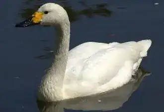 В Центральном парке Караганды появится открытый бассейн и музыкально-огненный фонтан (5)