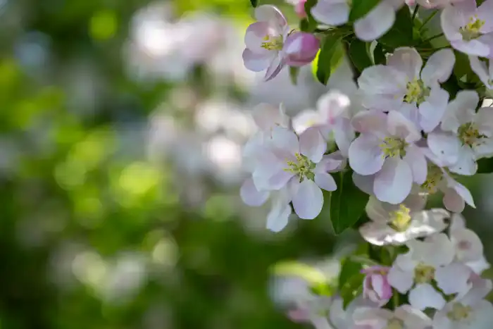 Экологический туризм в Жетісу: число посетителей национальных парков за год достигло 40 тыс. человек Павлодаре