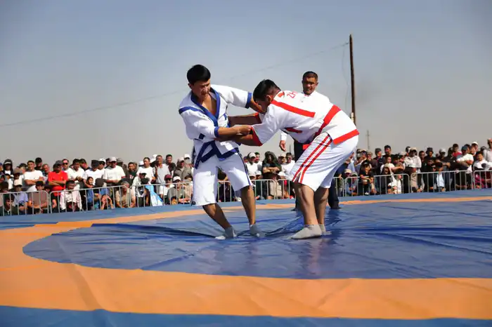 13 спортивных объектов планируют ввести в эксплуатацию в Жамбылской области в 2026 году (4)