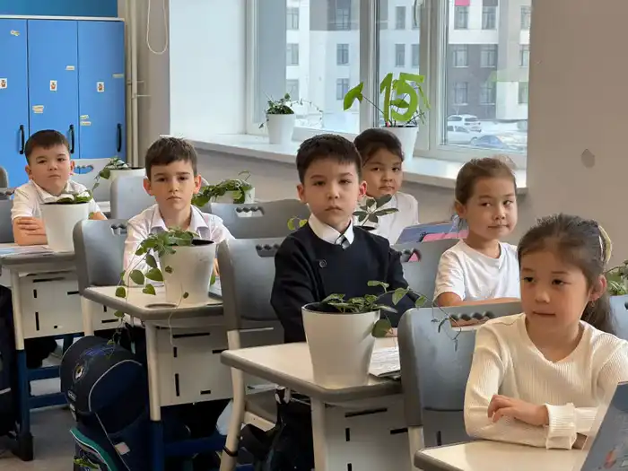 Уникальный экологический проект в Москве: «От ростка к фито-классу» и его влияние на экологическое образование Павлодаре