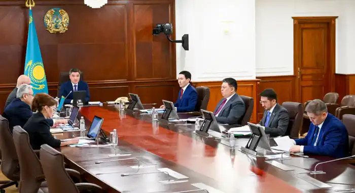 Увеличение производства и экспорта мяса: Премьер-министр нацелил Минсельхоз на оперативные меры поддержки Павлодаре