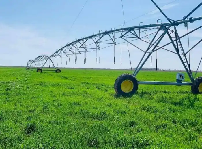 В ТУРКЕСТАНСКОЙ ОБЛАСТИ ЗА ТРИ ГОДА В РАМКАХ ПРОГРАММЫ «АУЫЛ АМАНАТЫ» ПРОФИНАНСИРОВАНО ОКОЛО 4000 ПРОЕКТОВ (3)