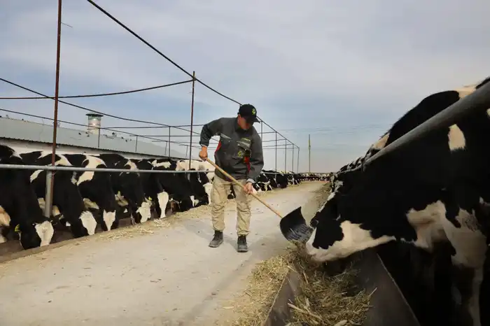 Более 42 тысяч рабочих мест планируется создать в этом году в Жамбылской области (3)