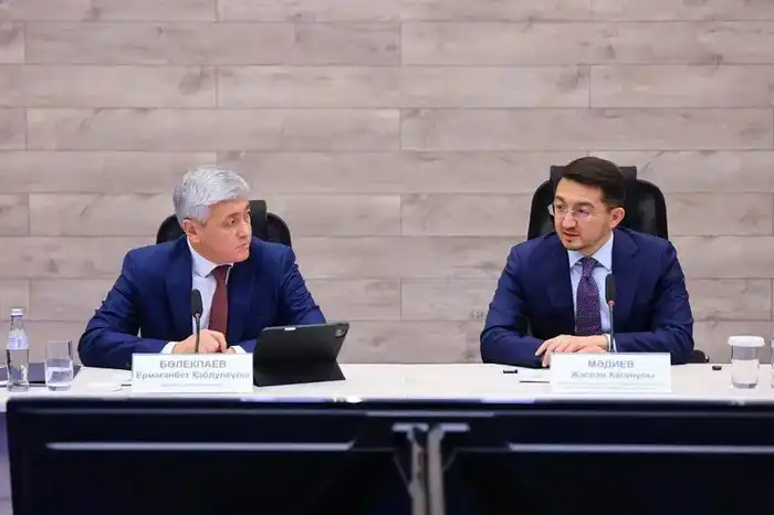 Искусственный интеллект, smart-city и ЦОНы нового формата: цифровые проекты Карагандинской области (2)