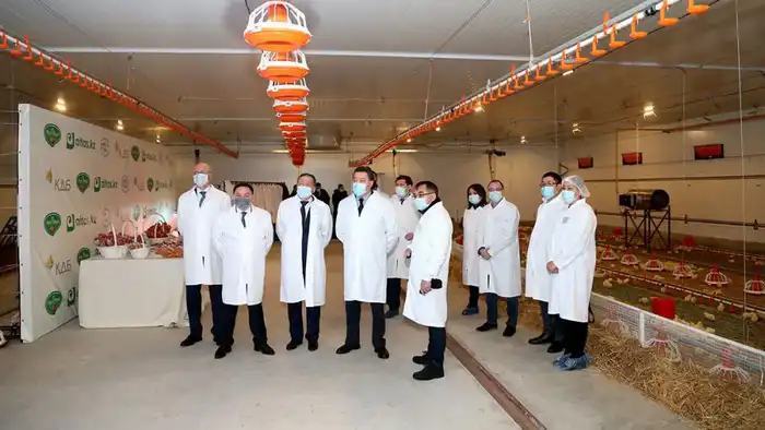 Макинская птицефабрика: надежность, высокое качество и развитие производства Павлодаре