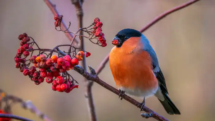 Казахстан ожидает резкие перепады температуры: потепление сменится морозами, что может повлиять на здоровье и транспортную инфраструктуру Павлодаре