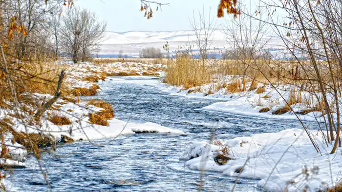 Прогноз погоды в Казахстане: Тепло до +13 градусов 31 января - 2 февраля от синоптиков Казгидромета Павлодаре