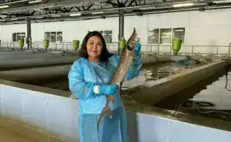 Асылбекова Сауле: будущее рыбного хозяйства Казахстана