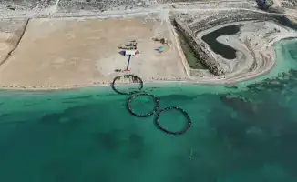 Лосось в Мангистау: морская аквакультура на старте!