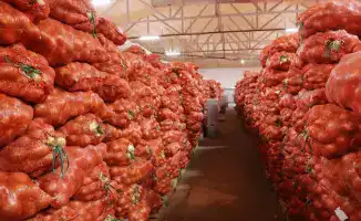 Ербол Карашукеев проверил овощехранилище и молочно-товарную ферму в Байзакском районе