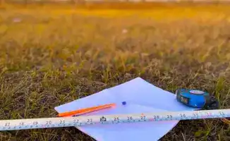 2,1 млн га неиспользуемых земель досрочно возвращены в государственную собственность