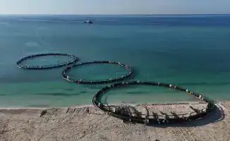 Рынок рыбной продукции Казахстана достиг 76,8 тыс. тонн за 11 месяцев 2025 года