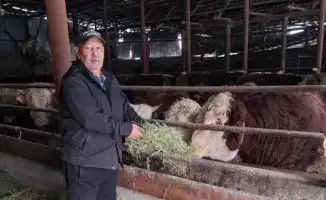 Фермерство на пустыре: как Мусагали Алимжанов создал успешное хозяйство с нуля