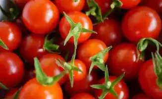 Томаты из Индии: вирус в аэропорту Астаны!